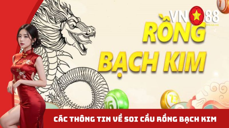 Các thông tin về soi cầu rồng bạch kim